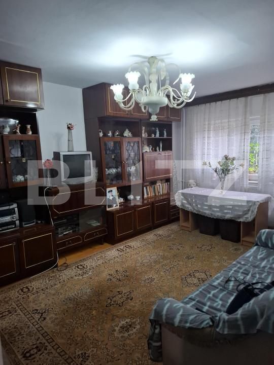 Apartament de vânzare 2 camere Baba-Dochia - 164117AV | BLITZ Timișoara | Poza1