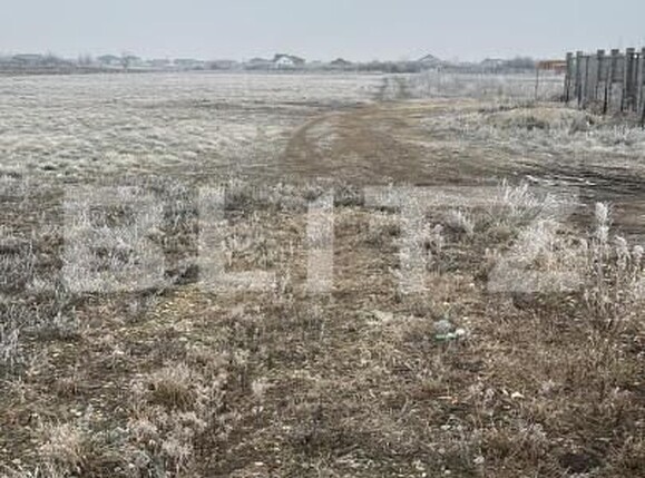 Teren de vânzare Mosnita Veche - 164184TV | BLITZ Timișoara | Poza2