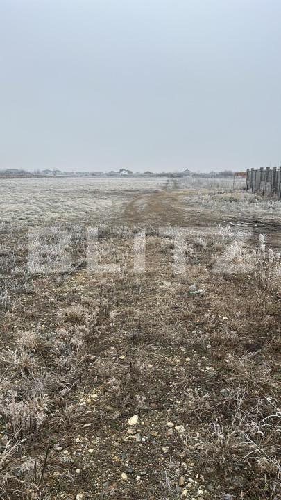 Teren de vânzare Mosnita Veche - 164184TV | BLITZ Timișoara | Poza2