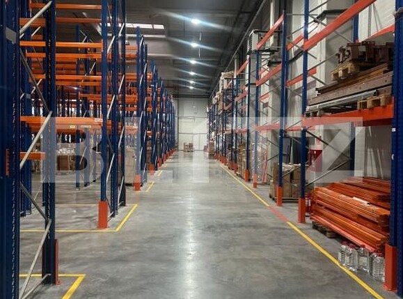 Spațiu industrial de închiriat Dumbravita - 164222SII | BLITZ Timișoara | Poza3