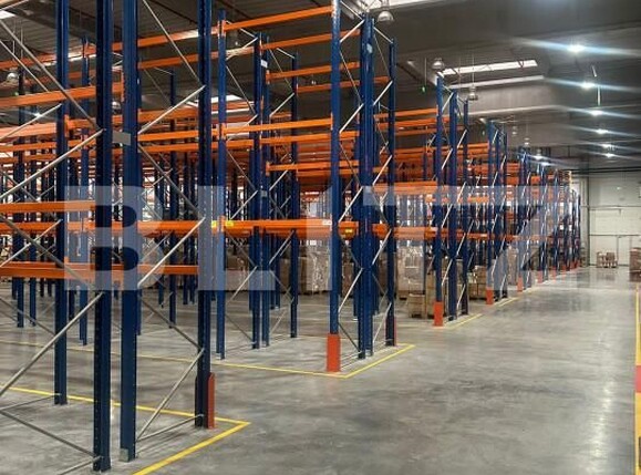 Spațiu industrial de închiriat Dumbravita - 164222SII | BLITZ Timișoara | Poza1