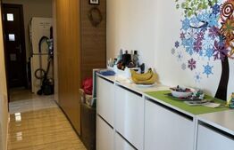 Apartament decomandat cu 3 camere, 64 mp, zona Lipovei