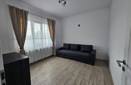 Casa mare de inchiriat in Dumbravita,