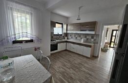 Casa mare de inchiriat in Dumbravita,