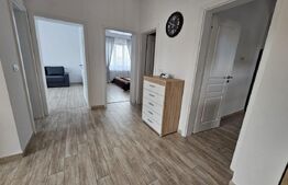 Casa mare de inchiriat in Dumbravita,