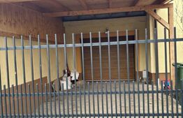 Casa individuala, 280 mp, zona Printul Turcesc