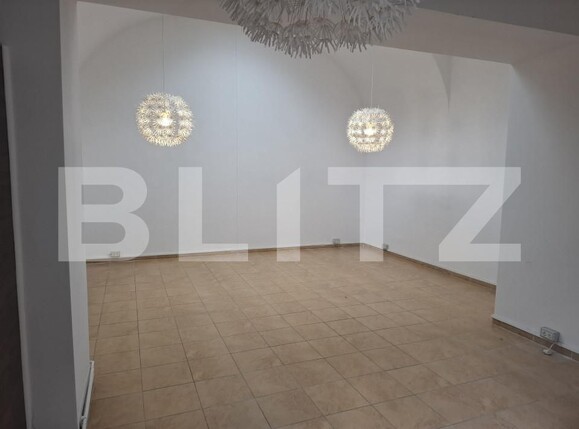 Garsonieră de închiriat P-ta Unirii - 164608AI | BLITZ Timișoara | Poza3