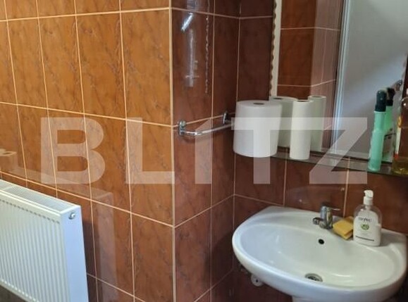 Garsonieră de închiriat P-ta Unirii - 164608AI | BLITZ Timișoara | Poza6