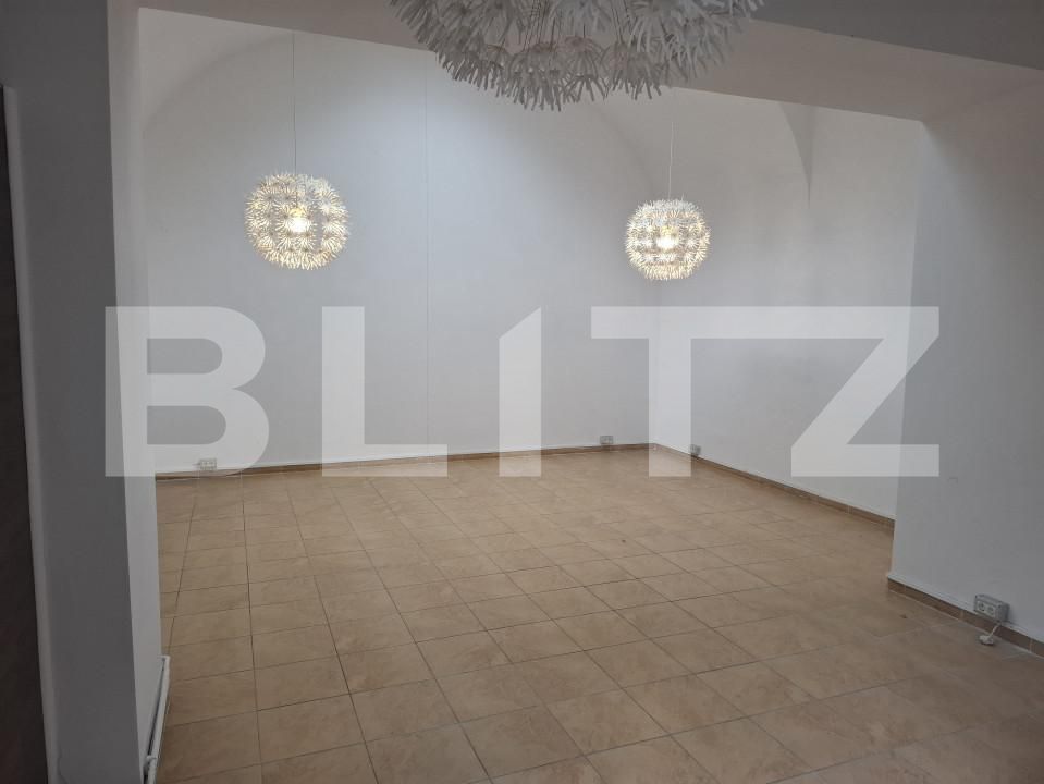 Garsonieră de închiriat P-ta Unirii - 164608AI | BLITZ Timișoara | Poza3