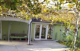 Casa individuala cu 3 camere, 150 mp, zona Elisabetin