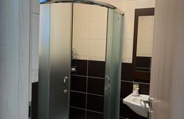 Duplex modern Mosnita Noua