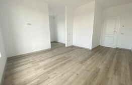 Duplex 3 camere, Su=75mp, St=230mp, Remetea Mare