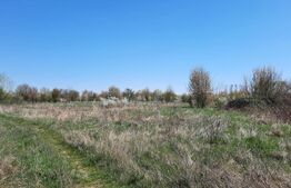 Teren exceptional, 11273 mp, pentru investitie, zona Plopi din Timisoara!