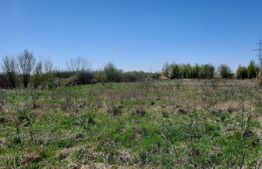 Teren exceptional, 11273 mp, pentru investitie, zona Plopi din Timisoara!