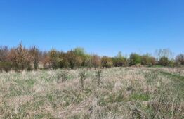 Teren exceptional, 11273 mp, pentru investitie, zona Plopi din Timisoara!