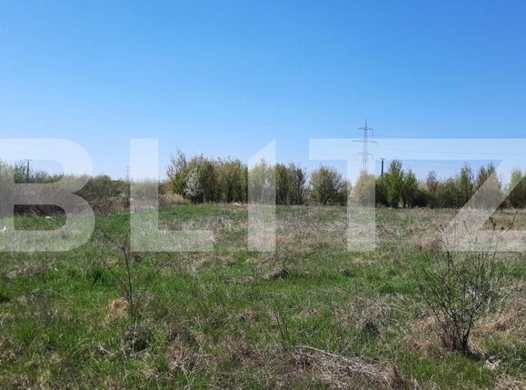 Teren de vânzare Plopi - 164826TV | BLITZ Timișoara | Poza6