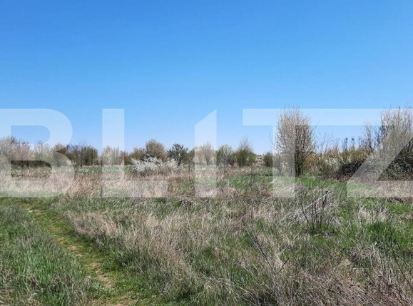 Teren de vânzare Plopi - 164826TV | BLITZ Timișoara | Poza1