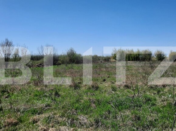 Teren de vânzare Plopi - 164826TV | BLITZ Timișoara | Poza5