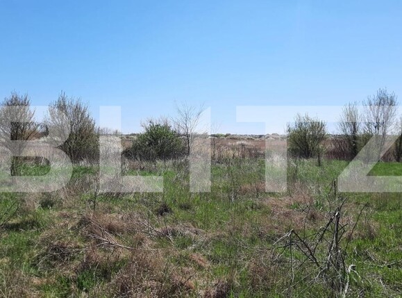 Teren de vânzare Plopi - 164826TV | BLITZ Timișoara | Poza3