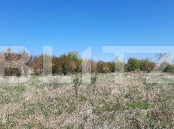 Teren de vânzare Plopi - 164826TV | BLITZ Timișoara | Poza4