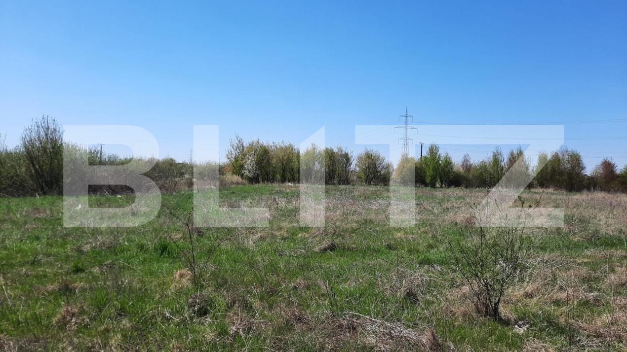 Teren de vânzare Plopi - 164826TV | BLITZ Timișoara | Poza6