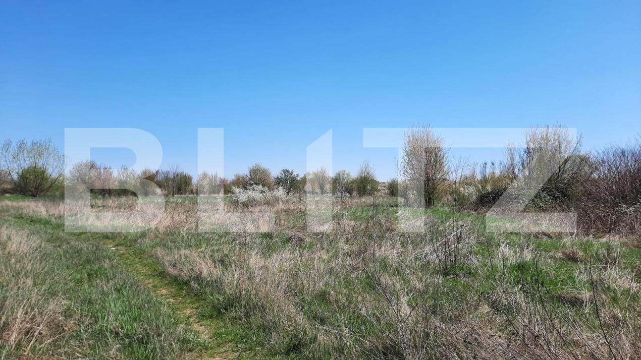 Teren de vânzare Plopi - 164826TV | BLITZ Timișoara | Poza1