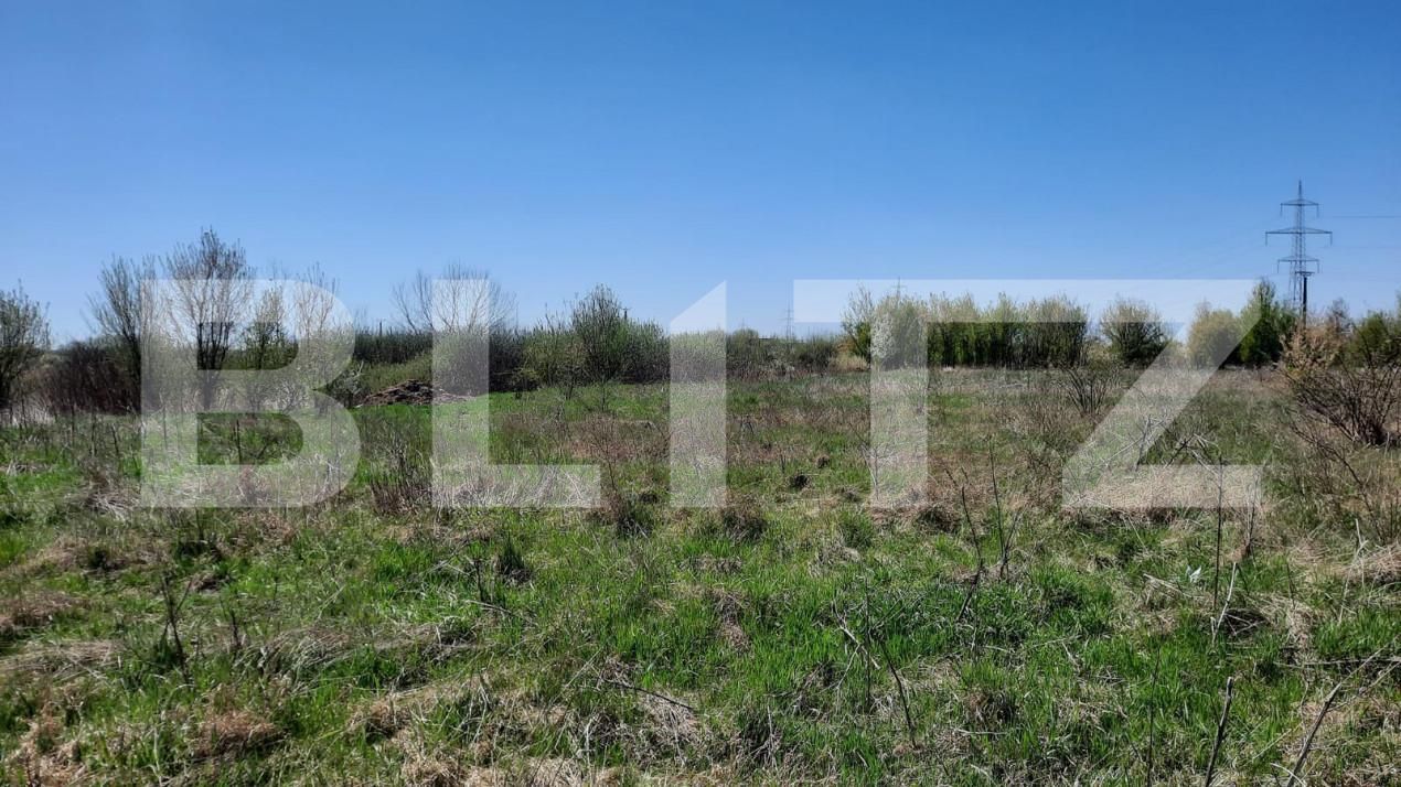 Teren de vânzare Plopi - 164826TV | BLITZ Timișoara | Poza5