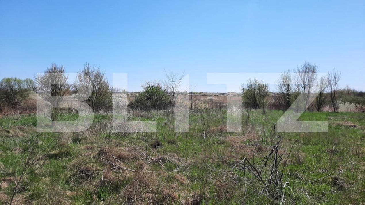 Teren de vânzare Plopi - 164826TV | BLITZ Timișoara | Poza3