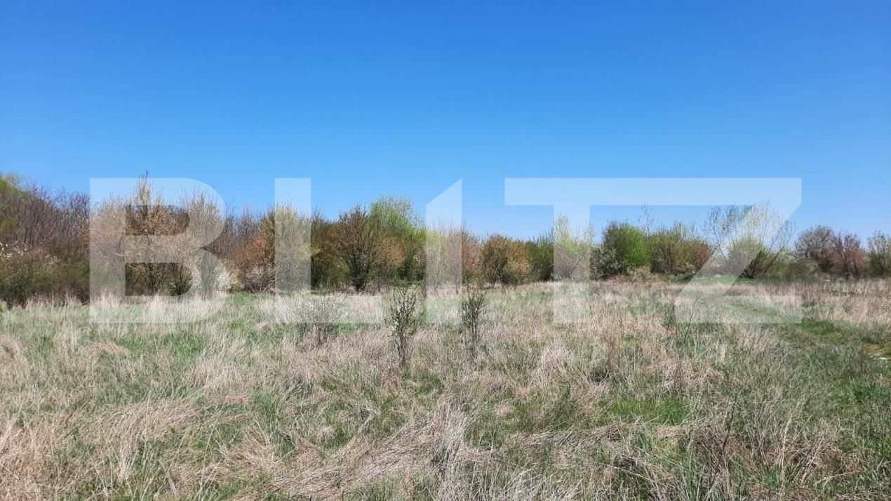 Teren de vânzare Plopi - 164826TV | BLITZ Timișoara | Poza4