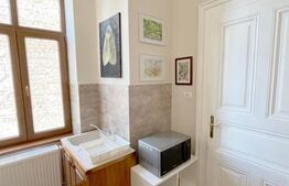 Apartament de vanzare, o camera, 41 mp, cochet, zona central