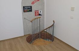 Apartament 6 camere, 160 mp, zona Iosefin