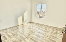 Duplex cu 4 camere, 100 mp, zona Freidorf