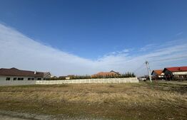 Teren de 1100 mp, 2 fronturi stradale la Beregsau Mare, zona noua de case