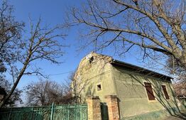 Casa de vânzare 4 camere Cebza - 179678CV | BLITZ Timișoara | Poza1