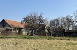 Casa pitoreasca, 4 camere, 180 mp, zona Beregsau Mare 