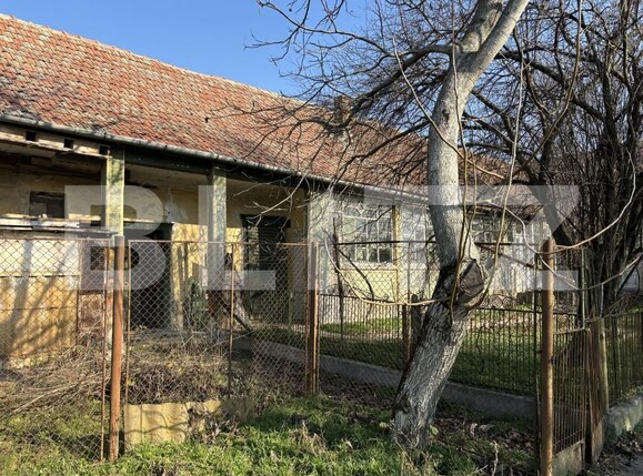 Casa de vânzare 5 camere Exterior Nord - 165160CV | BLITZ Timișoara | Poza2