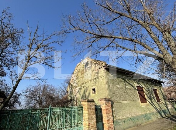 Casa de vânzare 5 camere Exterior Nord - 165160CV | BLITZ Timișoara | Poza1