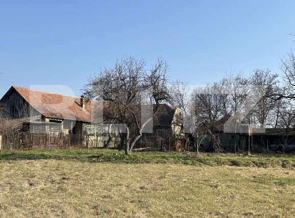 Casa de vânzare 5 camere Exterior Nord - 165160CV | BLITZ Timișoara | Poza5