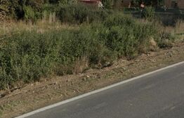 Teren intravilan 2492 mp, Bucovat