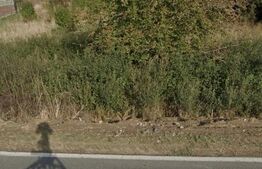 Teren intravilan 2492 mp, Bucovat