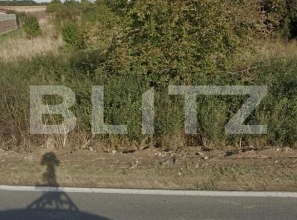 Teren de vânzare Remetea Mare - 165514TV | BLITZ Timișoara | Poza3