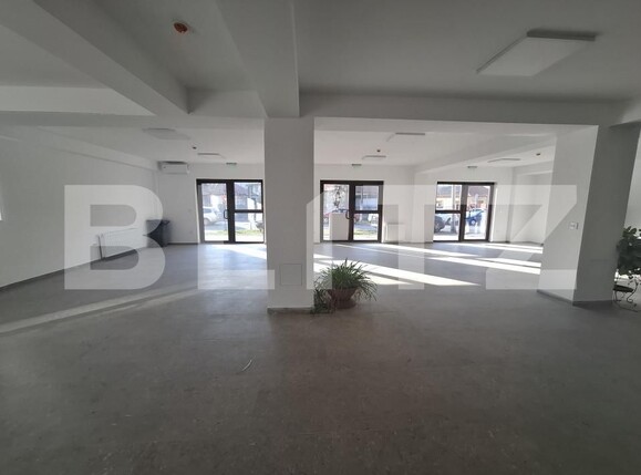 Spațiu comercial de închiriat Girocului - 165575SIC | BLITZ Timișoara | Poza3