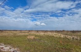 Teren arabil de vanzare, 84 ha, Berecsaul mic