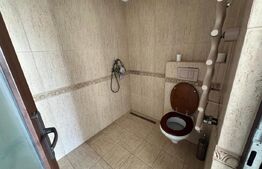 Vila individuala cu piscina si garaj dublu - Dumbracita
