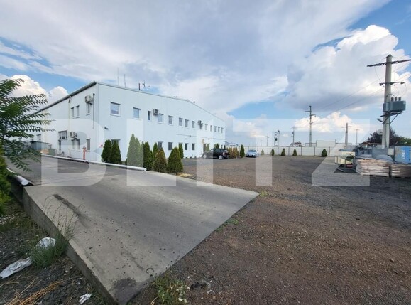 Spațiu industrial de vânzare Chisoda - 165638SVI | BLITZ Timișoara | Poza3