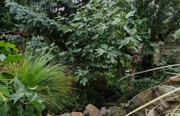 Casă de vanzare, cu6 camere, 240 mp utili, teren 600 mp, zona Calea Sagului