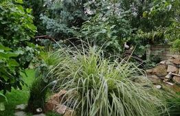 Casă de vanzare, cu6 camere, 240 mp utili, teren 600 mp, zona Calea Sagului