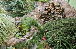 Casă de vanzare, cu6 camere, 240 mp utili, teren 600 mp, zona Calea Sagului