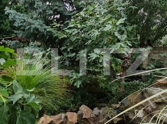 Casa de vânzare 6 camere Sagului - 165696CV | BLITZ Timișoara | Poza9