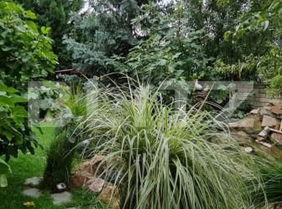 Casa de vânzare 6 camere Sagului - 165696CV | BLITZ Timișoara | Poza8